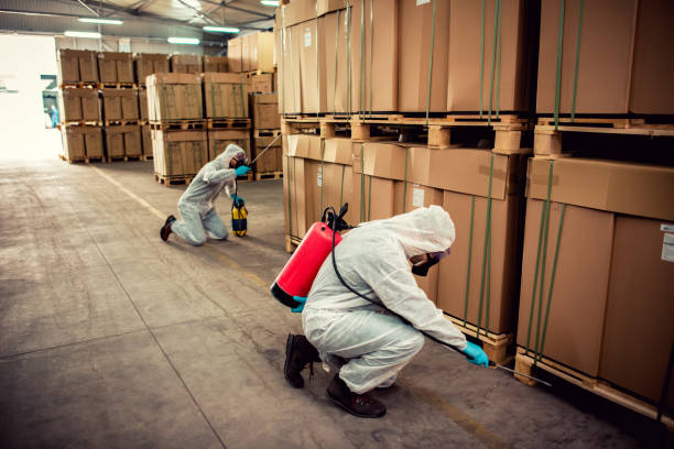 Best Affordable Pest Control Services  in Park City, UT